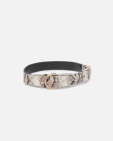Belt with python print and metal loops, 4 cm - | Pinko