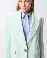 Jacket with rose jewel buttons - Sage Green | Pinko