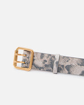 Belt with python print, 4 cm - | Pinko