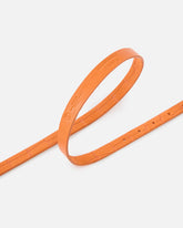 Cinturón de piel con estampado de cocodrilo y hebilla texana 1,7 cm - | Pinko